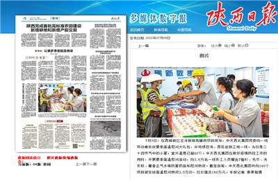 GA黄金甲西北集团珑樾府项目高温慰问——《陕西日报》